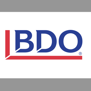 BDO Team